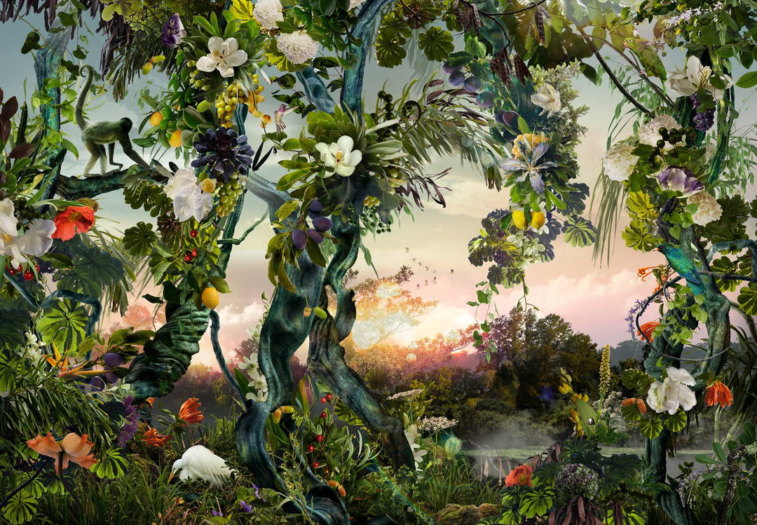 Lush by Ysabel Lemay - Limited Edition. Edition of: 150. Signed.