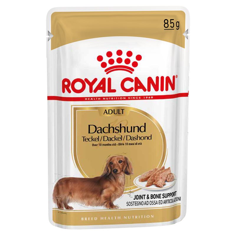 Royal Canin Teckel en mousse