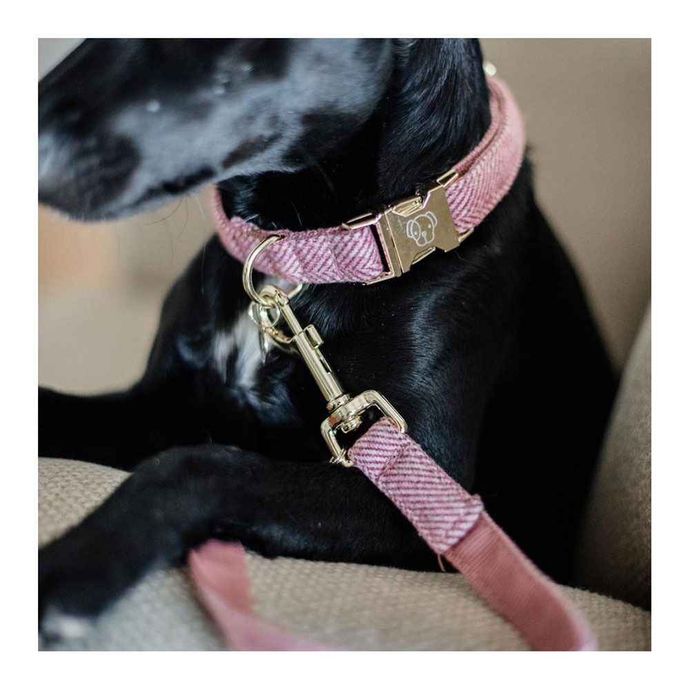 Kentucky LAINE 2M - Laisse pour chien old rose