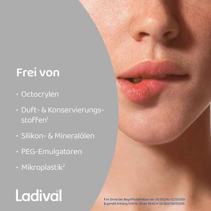 Ladival Aktiv UV-Schutzstift Lippen LSF 50 + , 1 St