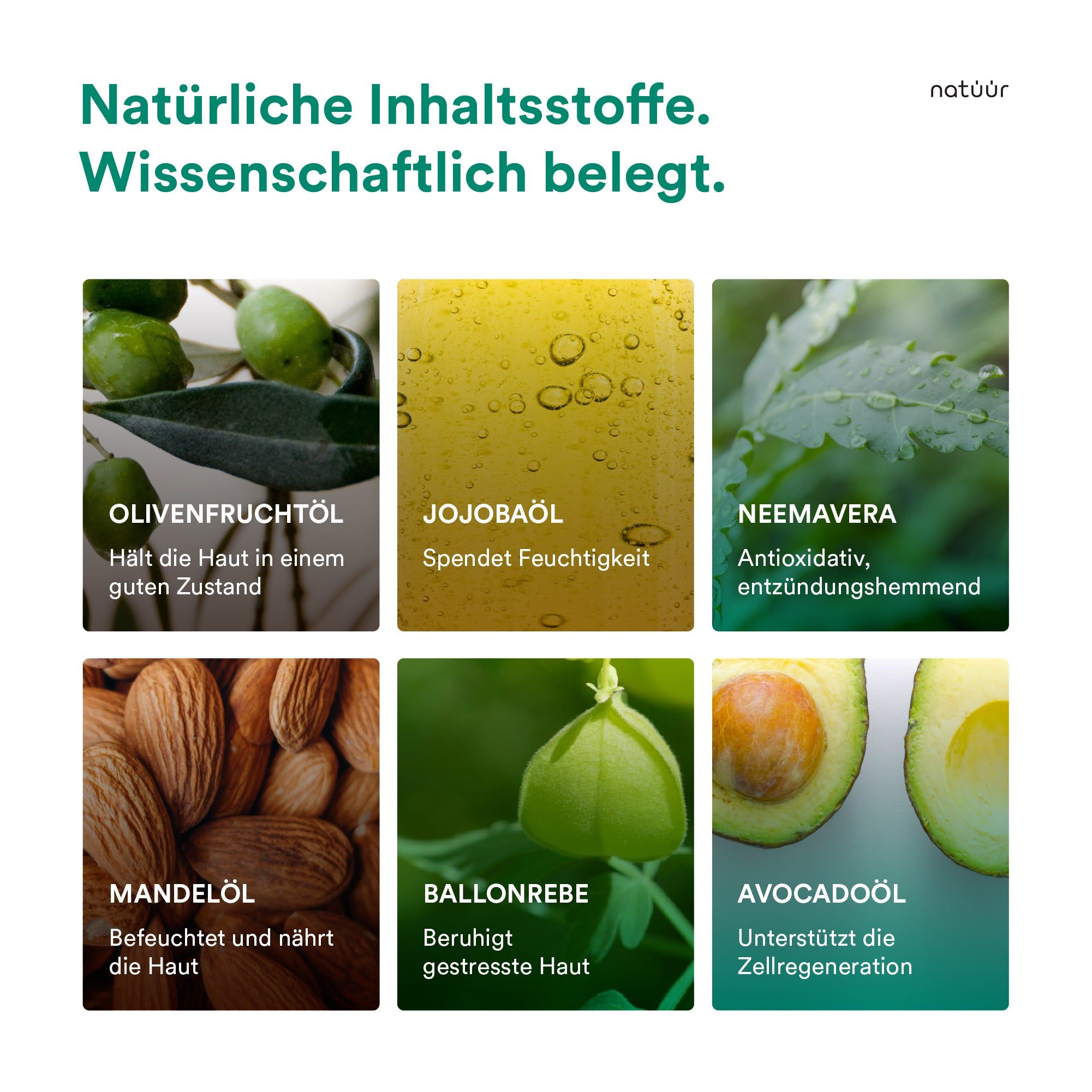 natüür Scalp Oil