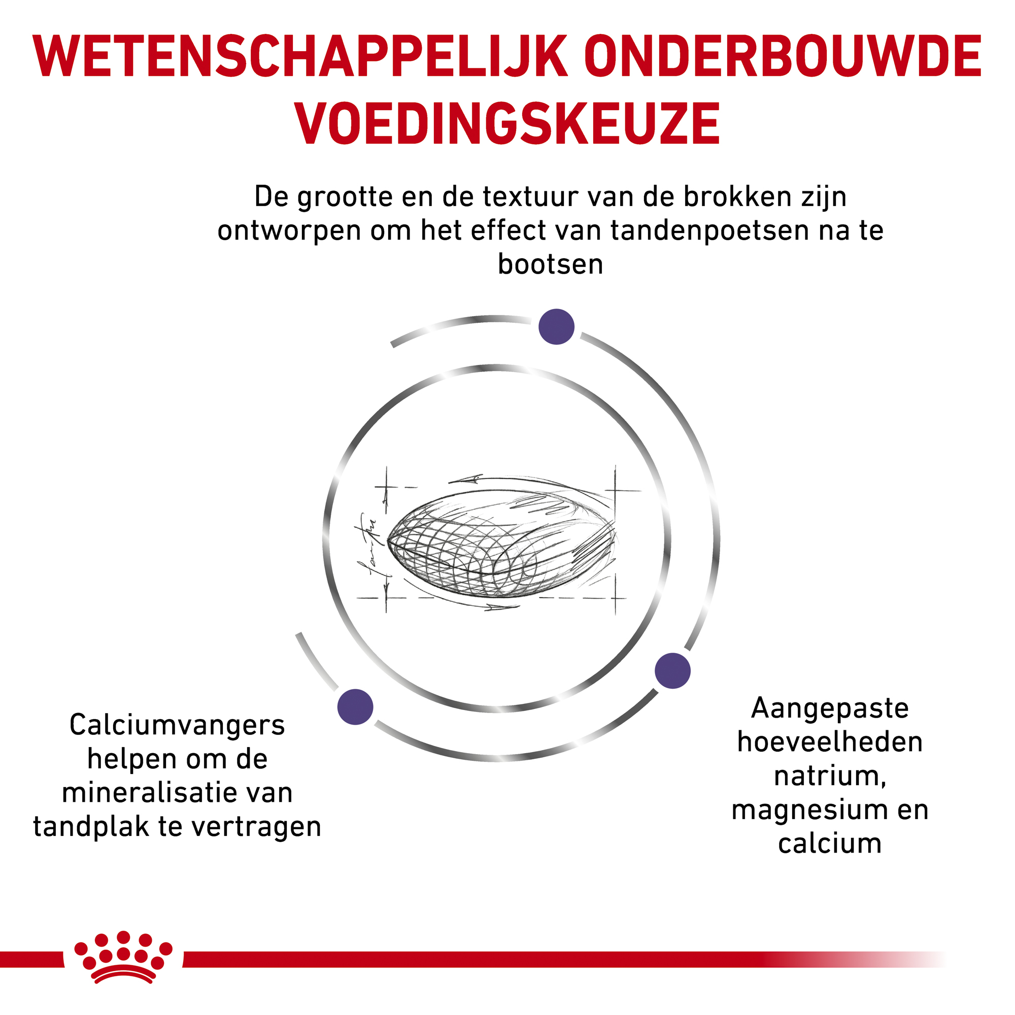 Royal Canin Dental Kleine Hond