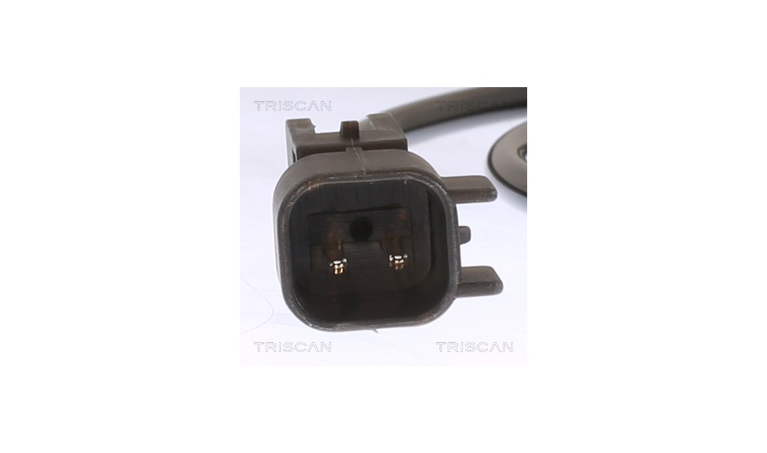 ABS sensor