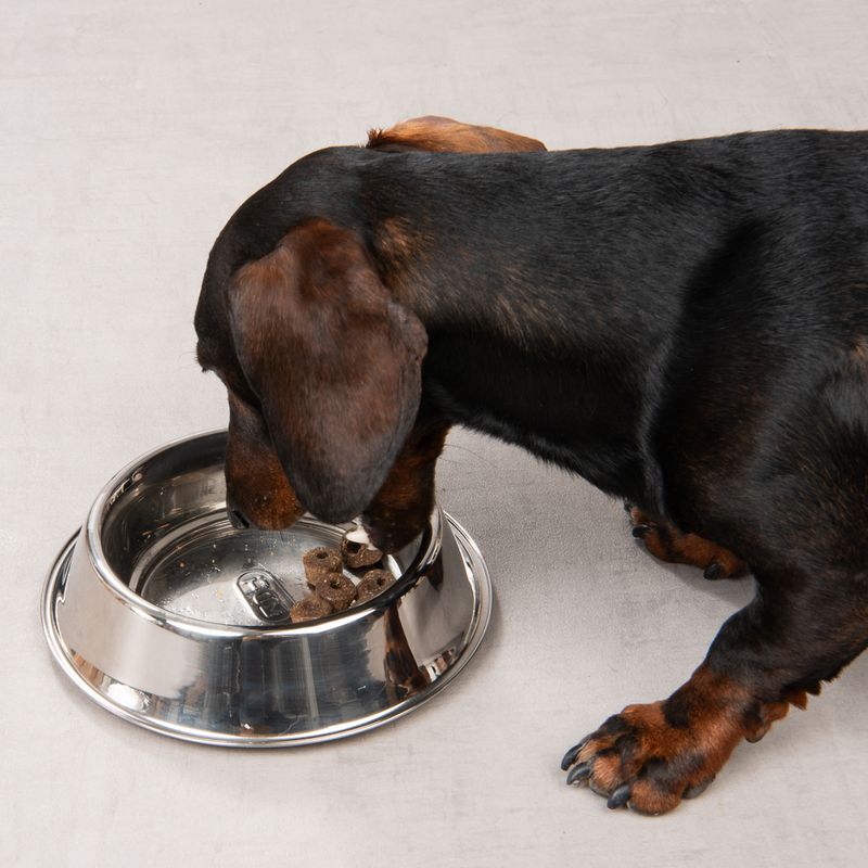 Gamelle en inox TIAKI Bye Bye Insects
