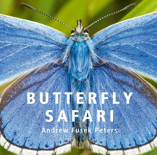 Butterfly Safari (Hardback)
