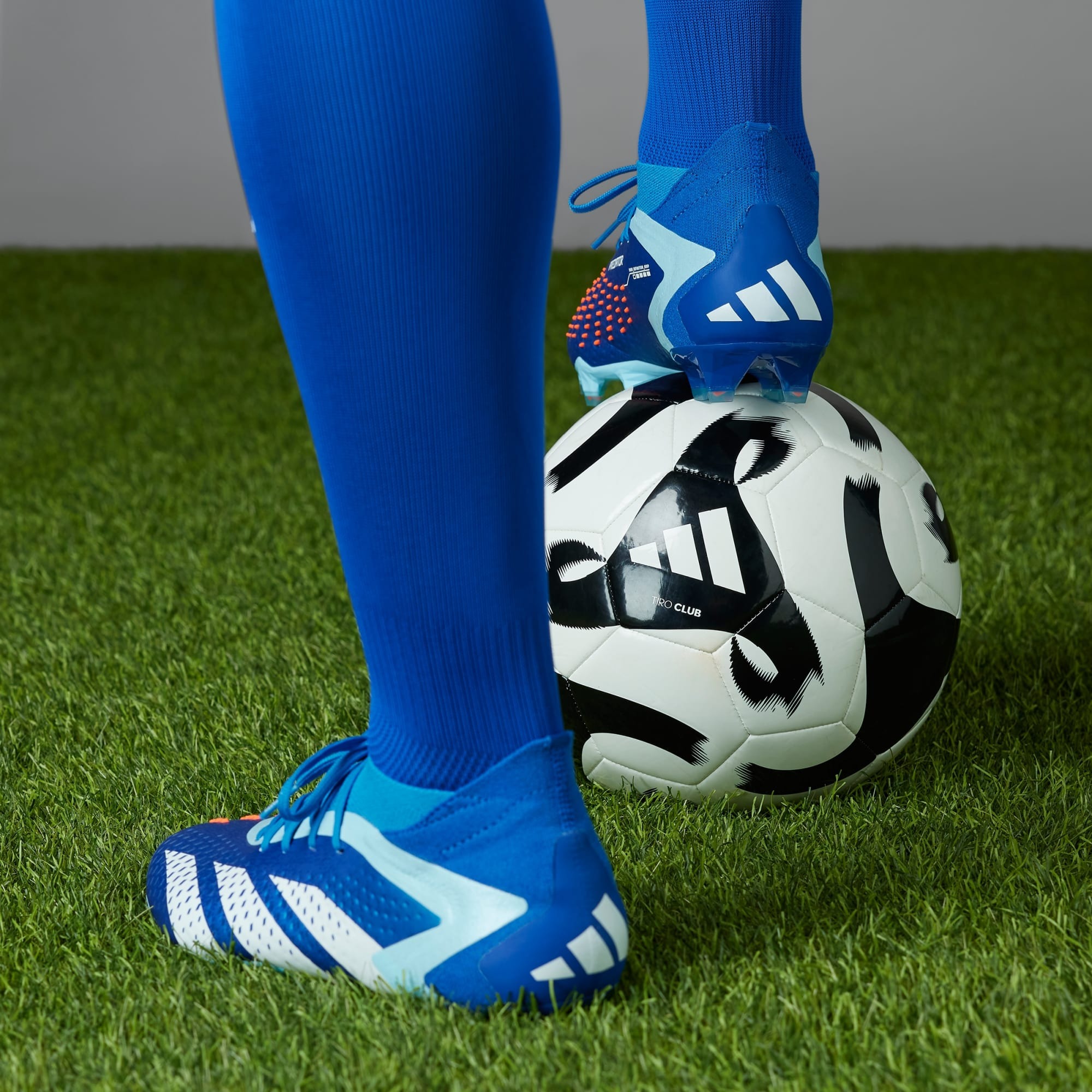 Predator Accuracy.1 FG Bright Royal/Cloud White/Bliss Blue