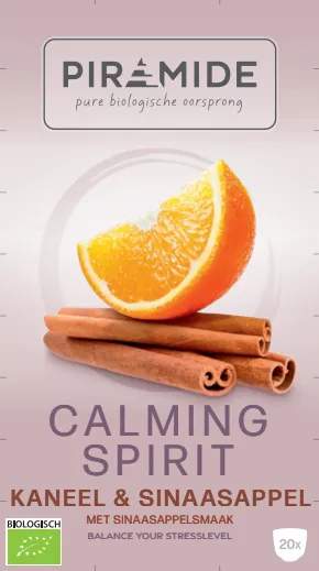 Piramide Calming Spirit Kaneel & Sinaasappel Biologische Thee (20 zakjes)