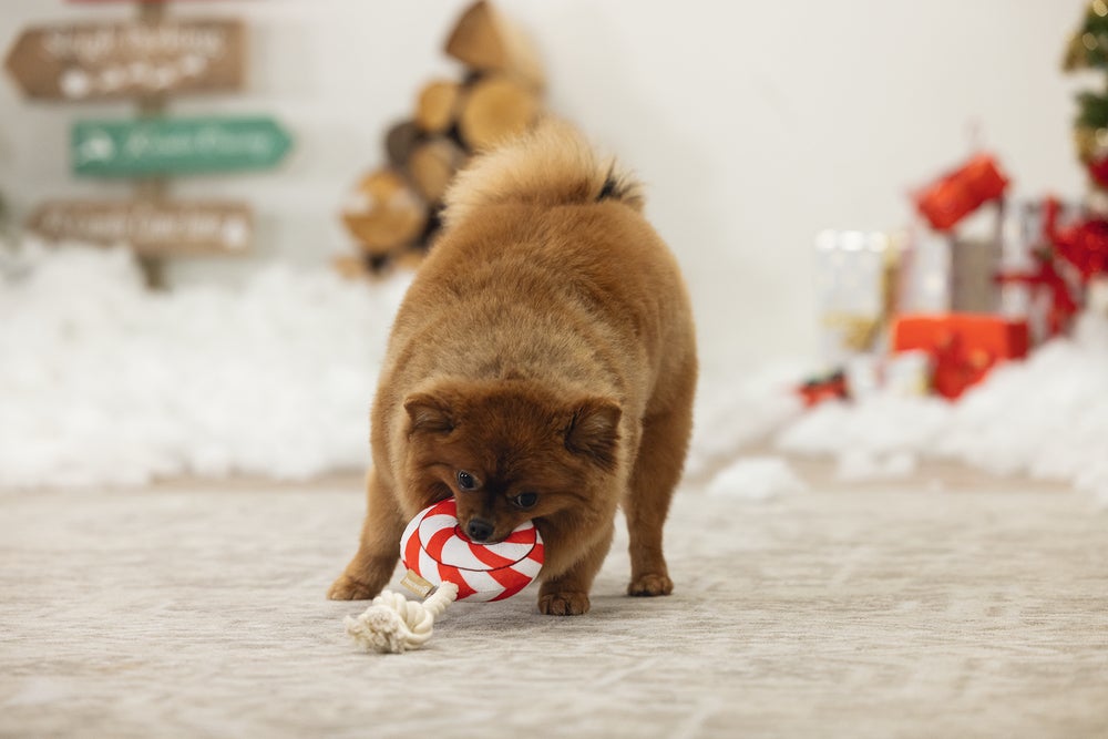 Beeztees hondenspeelgoed kerst lolly 25 x 12 x 5 cm