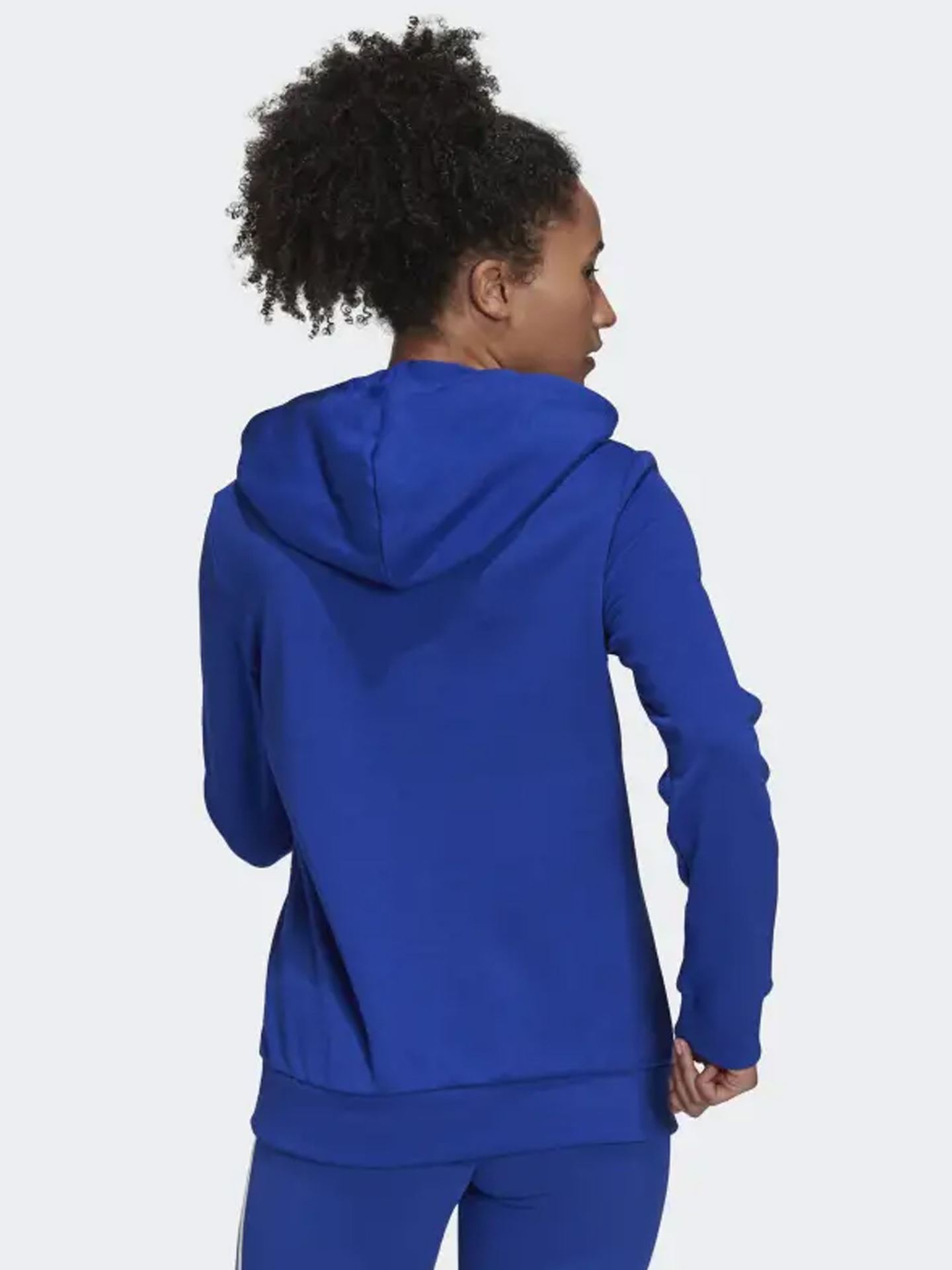 Big Logo French Teddy Hoodie