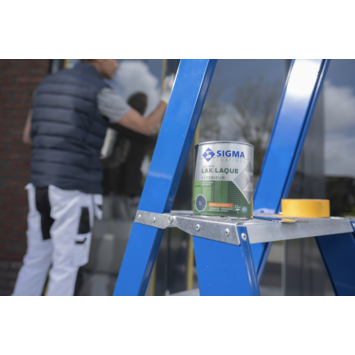 Sigma Exterieur buitenlak zijdeglans RAL 9001 crème wit 750 ml