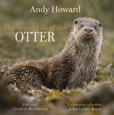 The Secret Life of the Otter (Hardback)