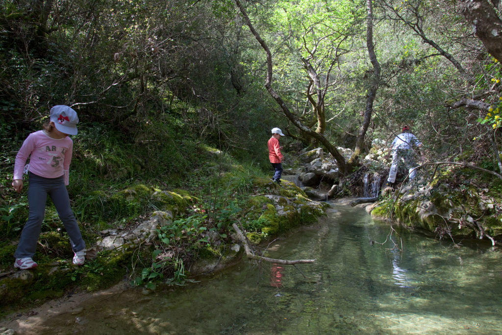 Excursiereis Lefkas Logies - Hotel