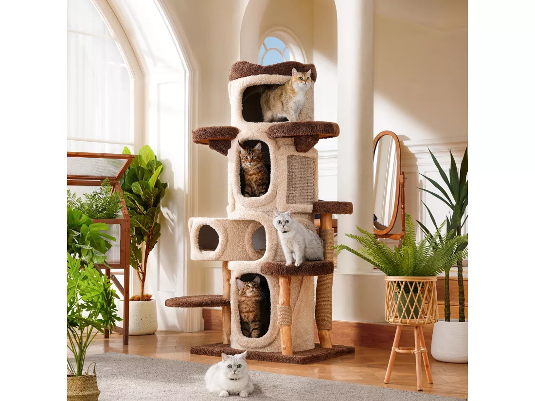 Arbre à chat en bois massif, d80cm×h176cm, beige