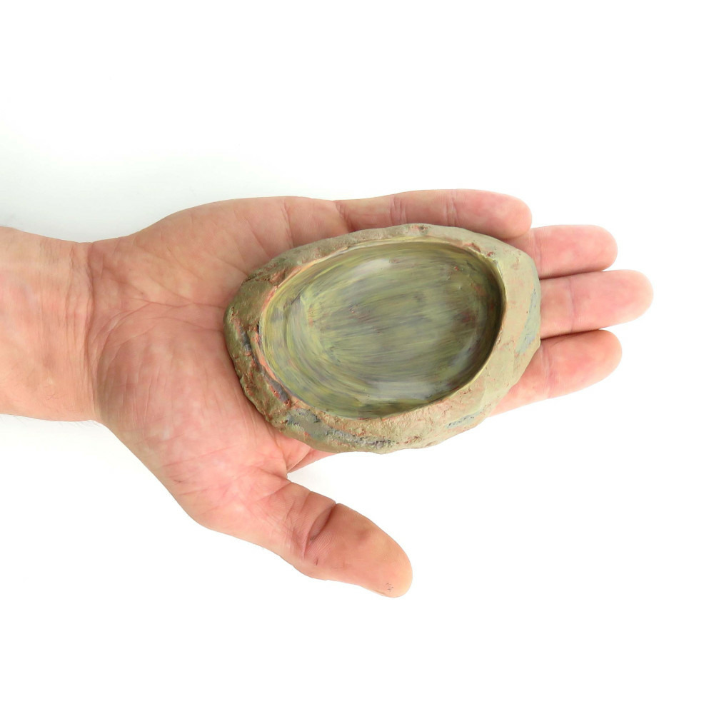 Ecuelle pour eau et nourriture pour reptile taille : 11 × 2,5 × 7 cm h 2.5