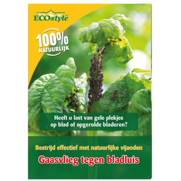 Gaasvlieg tegen bladluis
