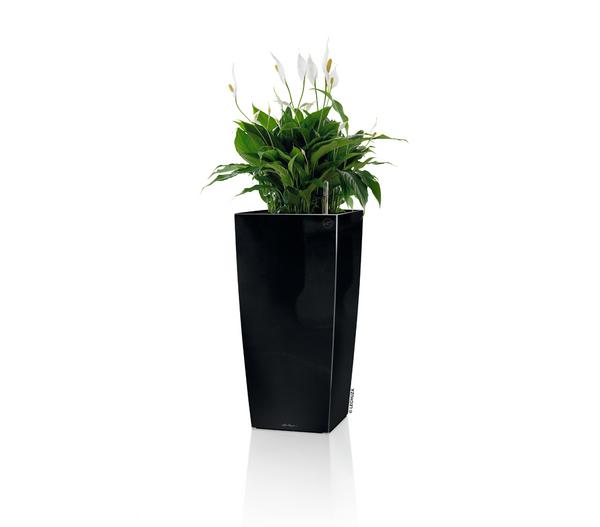 LECHUZA® CUBICO Premium, All-in-One-Set