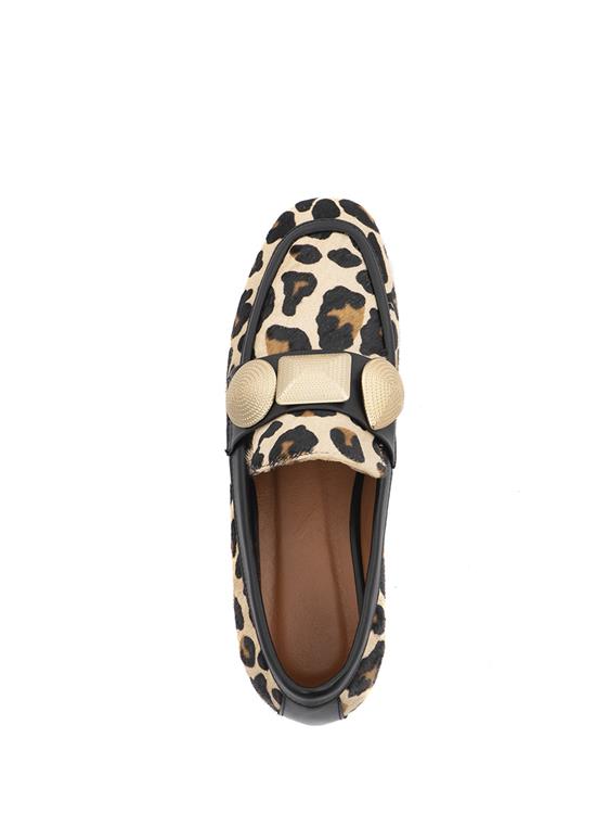 Babouche G-Lulu-59 Leopardo/Black