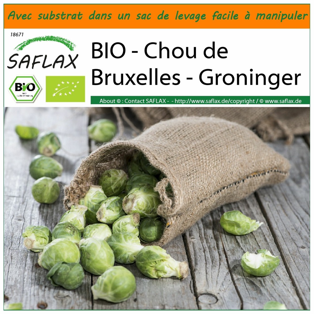 Jardin dans le sac - bio - chou de bruxelles - groninger - 30 graines - brassica oleracea var. Gemmifera