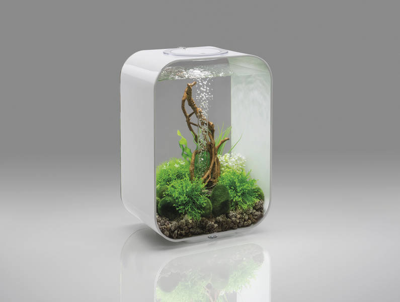 biOrb Life 15 LED Wit