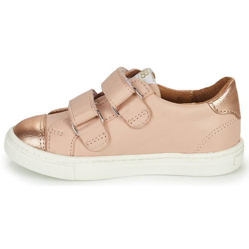 GBB - CARLOTA - Rose