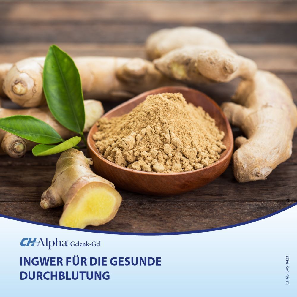 CH-Alpha Gelenk Gel mit Ingwer, Arnika und Weihrauch wärmt und entspannt beanspruchte Haut- und Muskelpartien