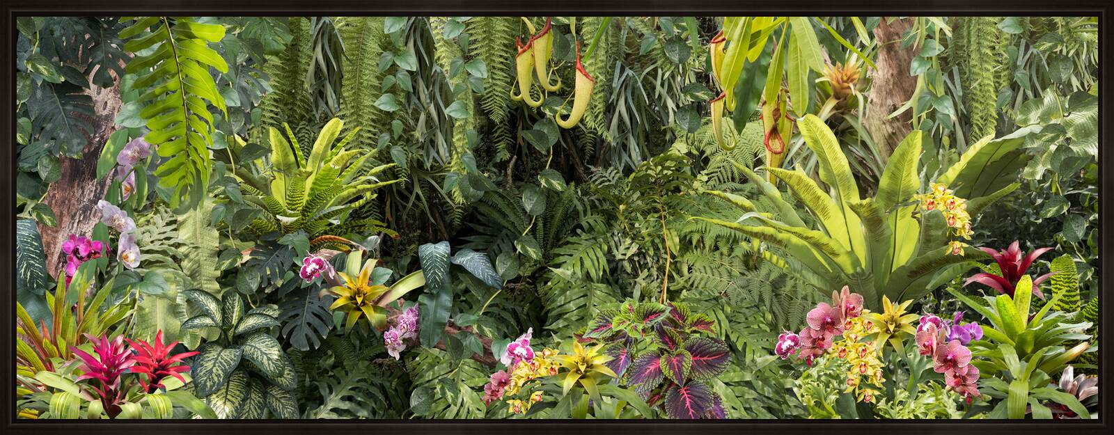 Botanical I by Katalin Vasali - Limited Edition. Edition of: 150. Signed.