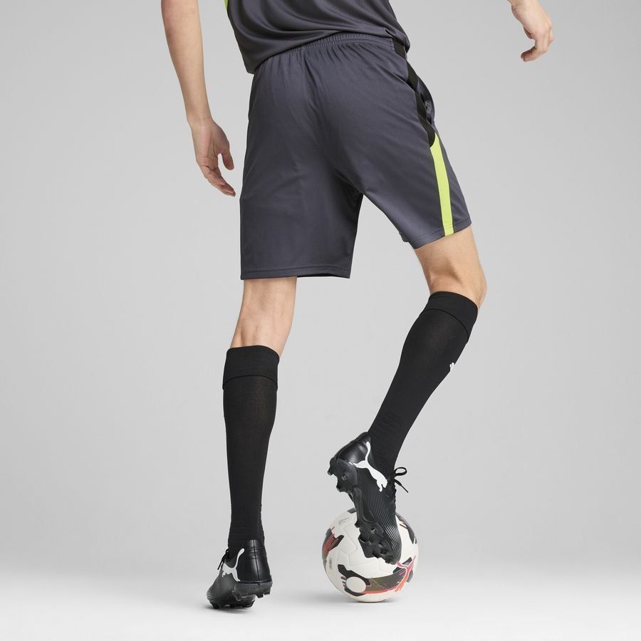 Puma individualLIGA Trainingsshorts