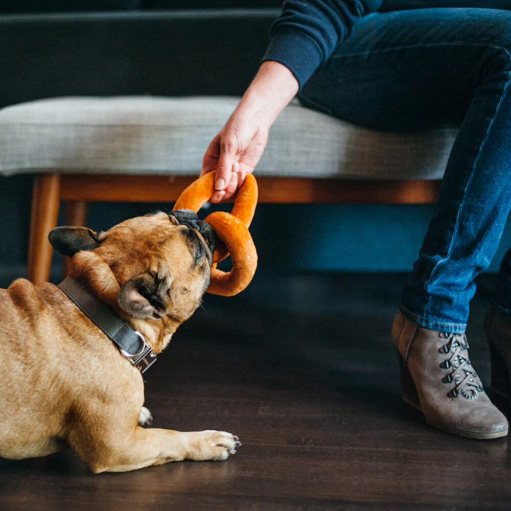 P.L.A.Y. Pet International Classic - Pretzel Toy