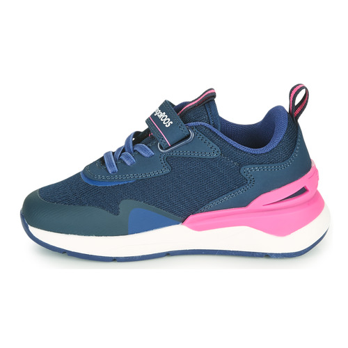 Kangaroos - KD-GYM EV - Bleu / Rose