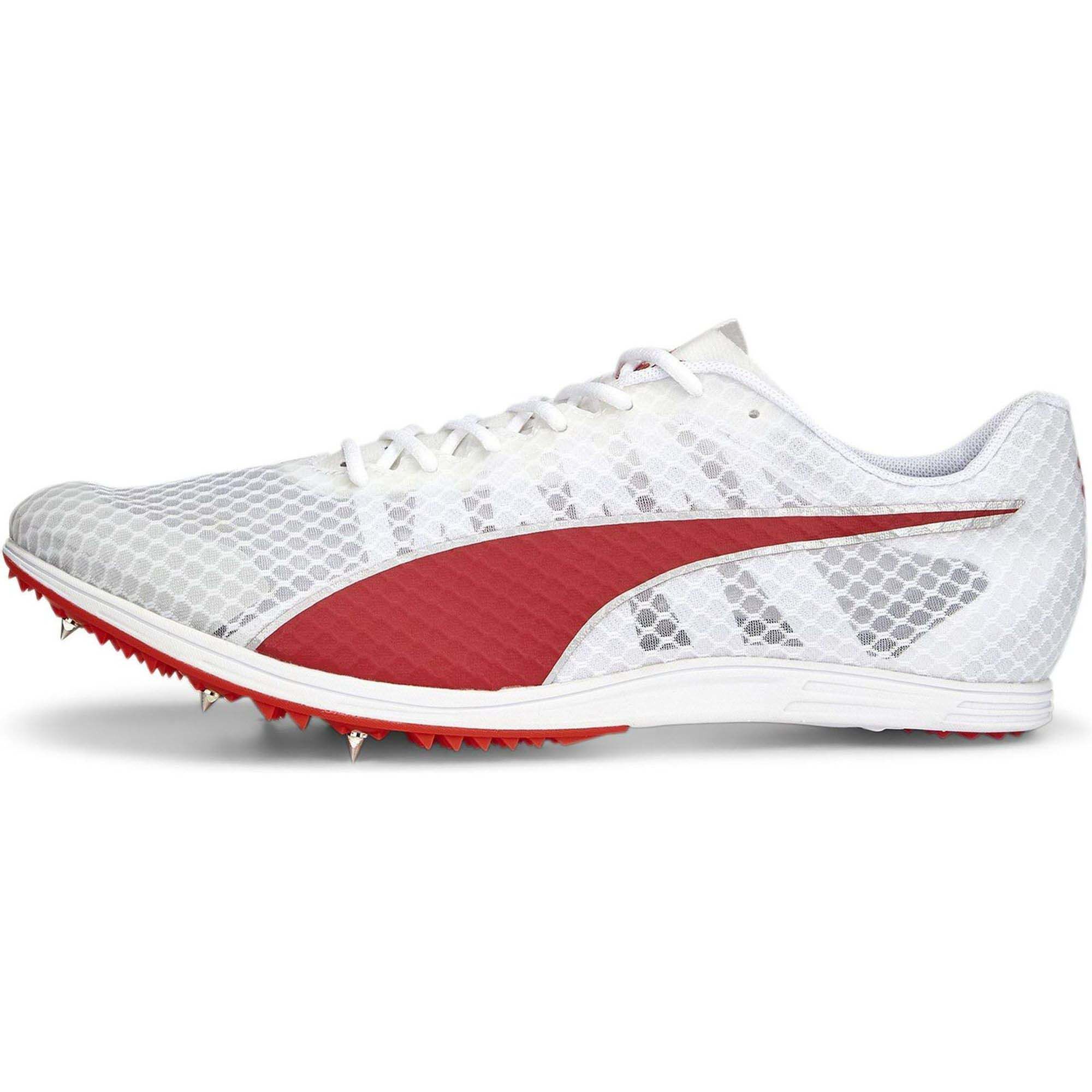 PumaevoSPEED Distance 11