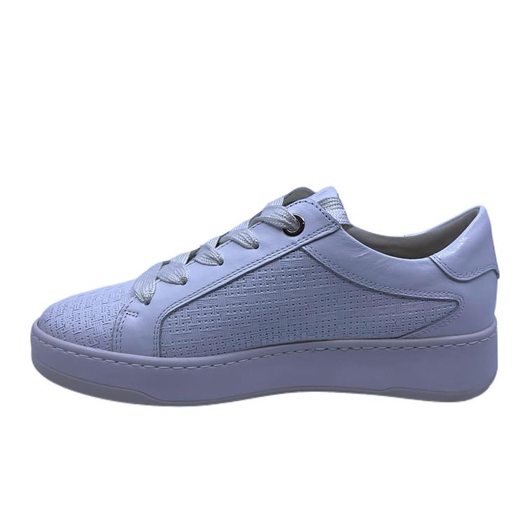 DL Sport 6504 Wit