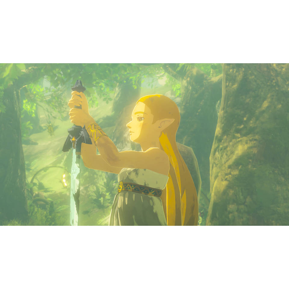 The Legend of Zelda: Breath of the Wild Nintendo Switch 2