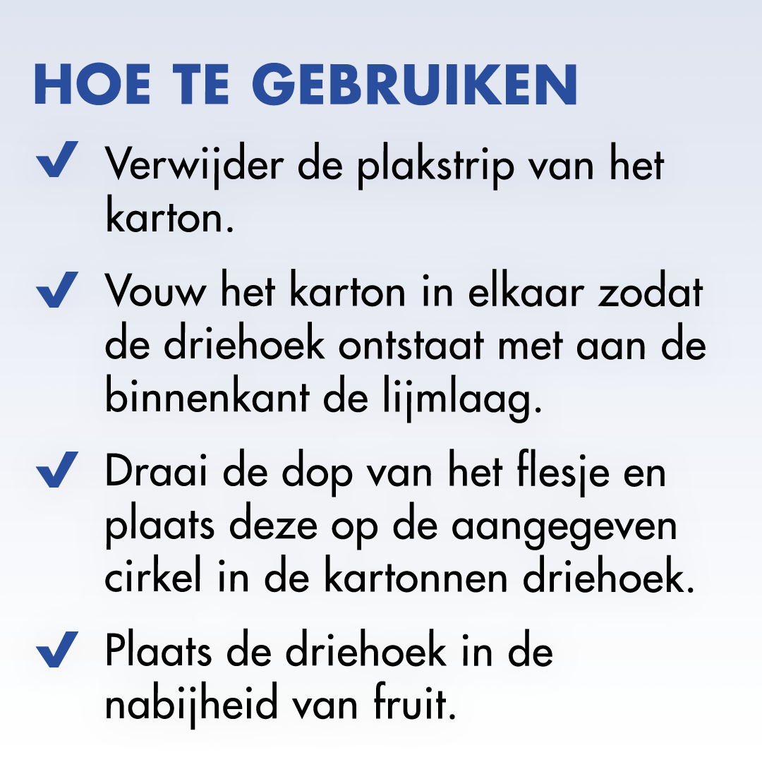 Roxasect Fruitvliegjes (1 stuk)