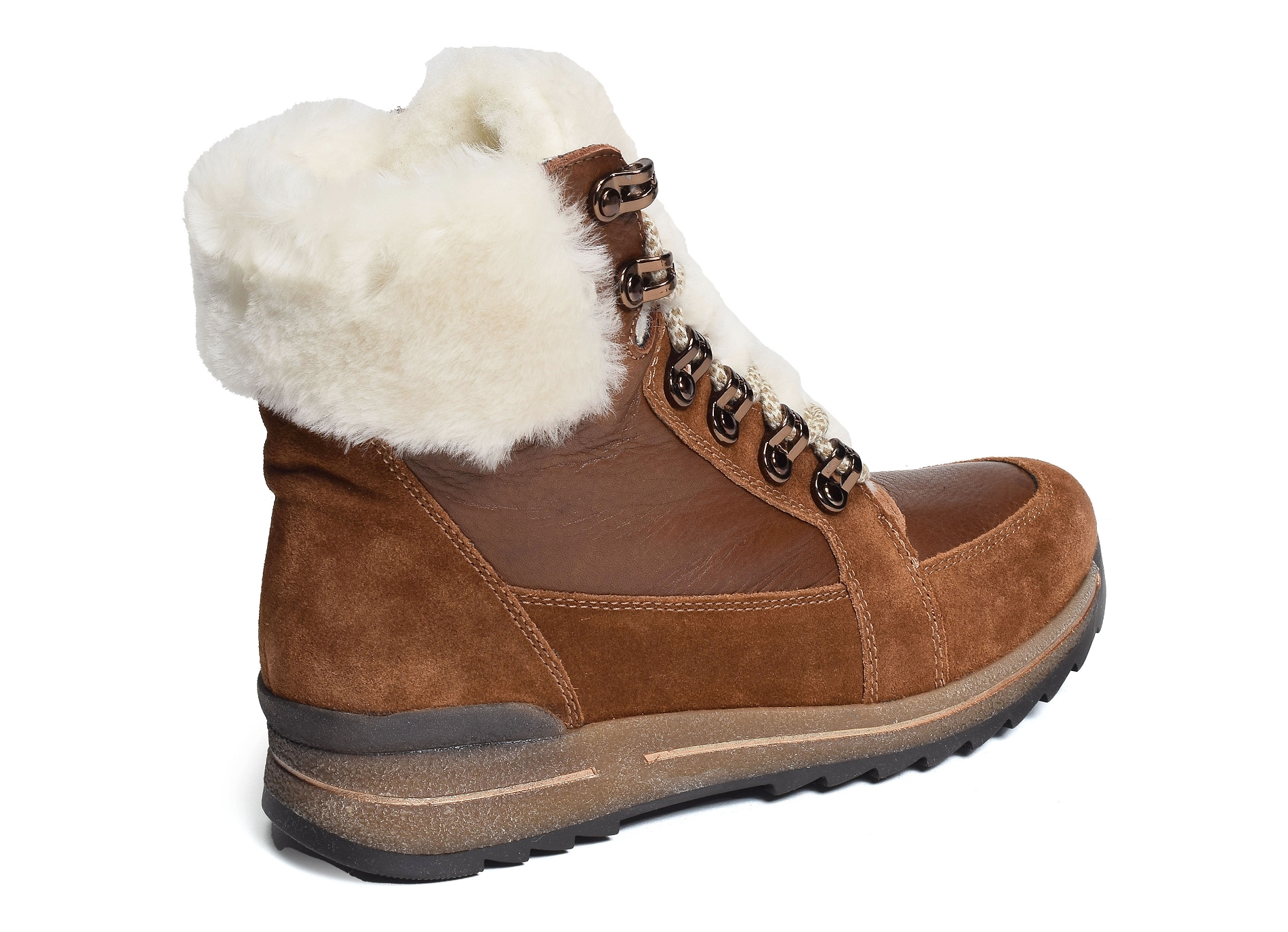 Osaka sport camel