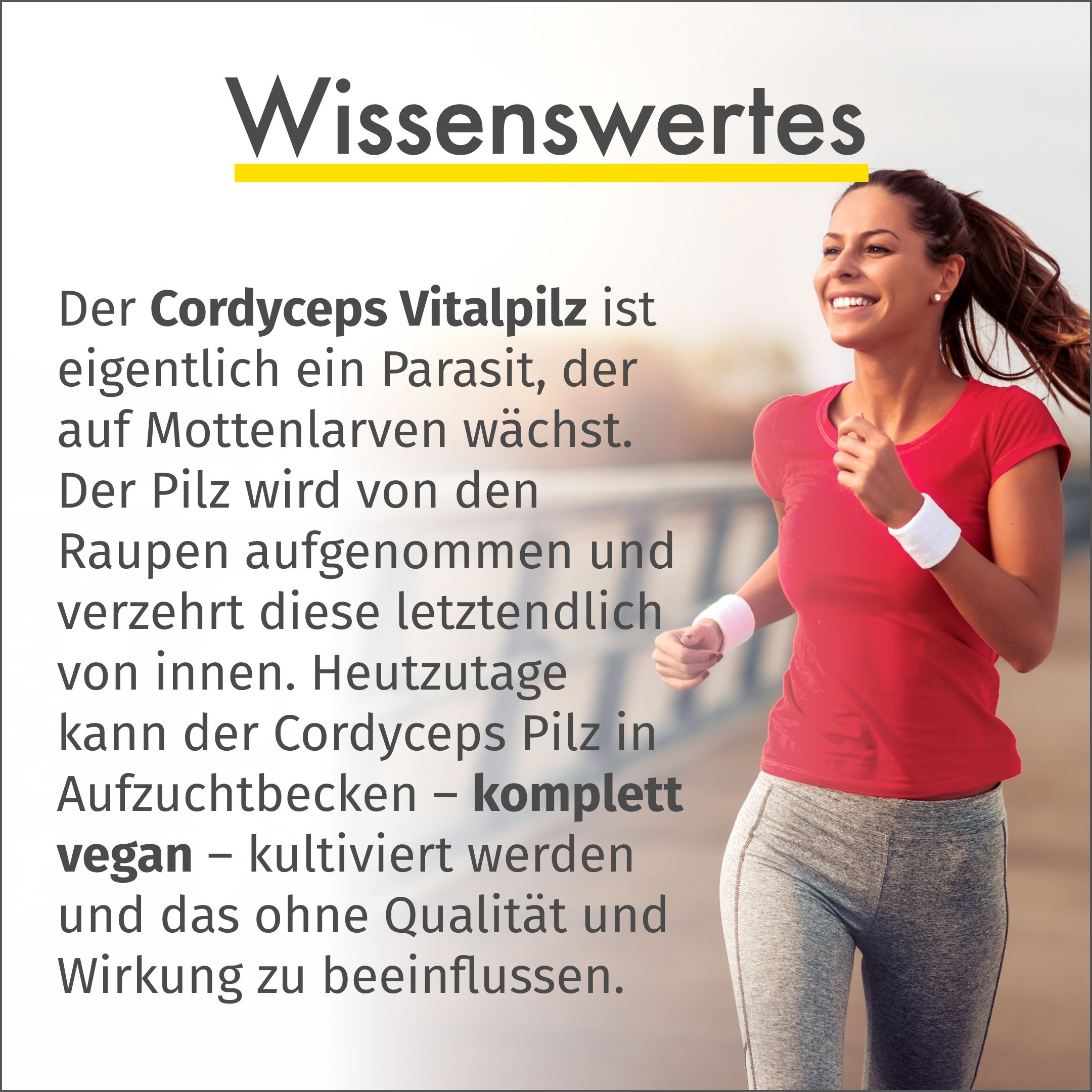 GREEN NATURALS Cordyceps mg sinensis hochdosiert vegan