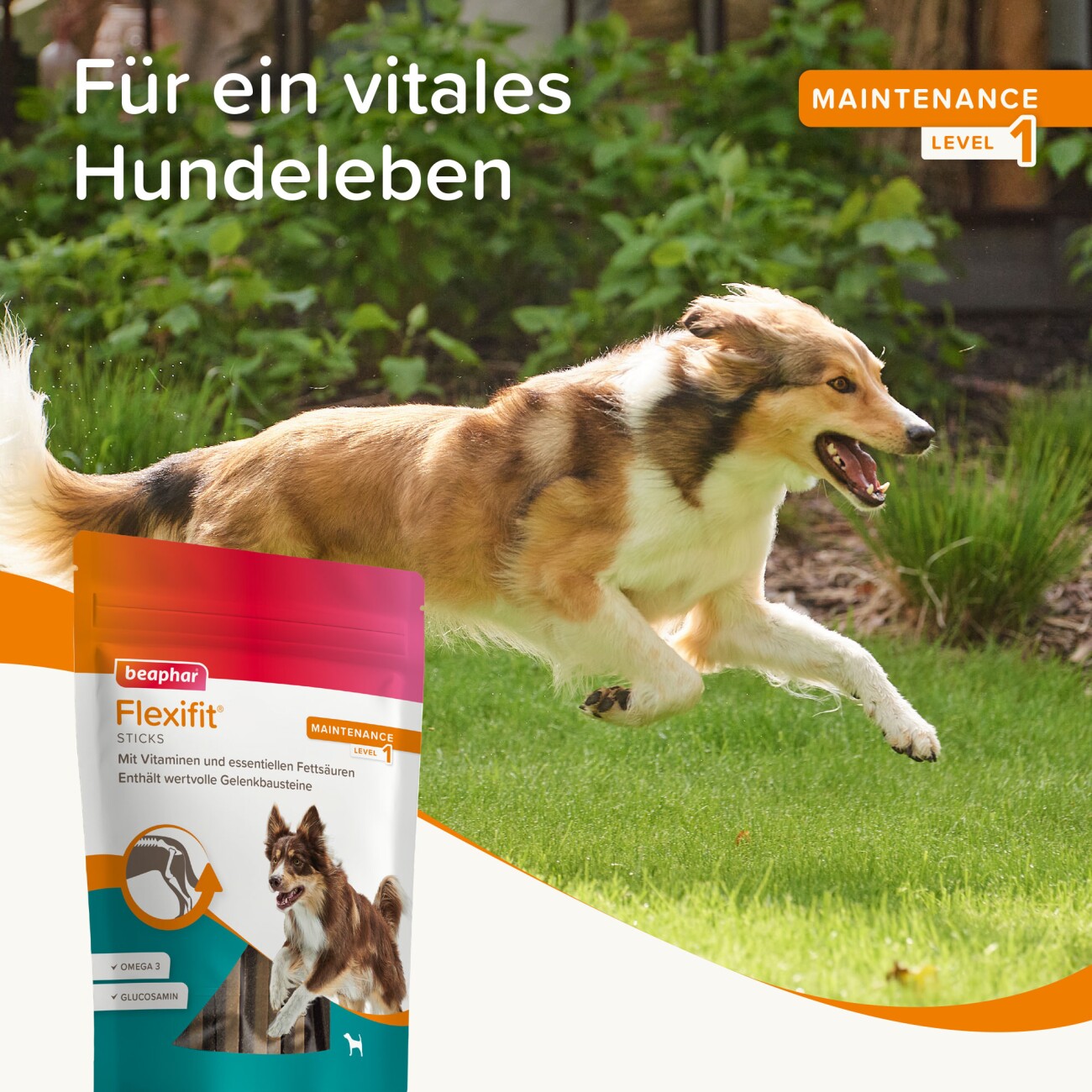 Beaphar Flexifit Snacks Hund Sticks 7 St. / 175 g