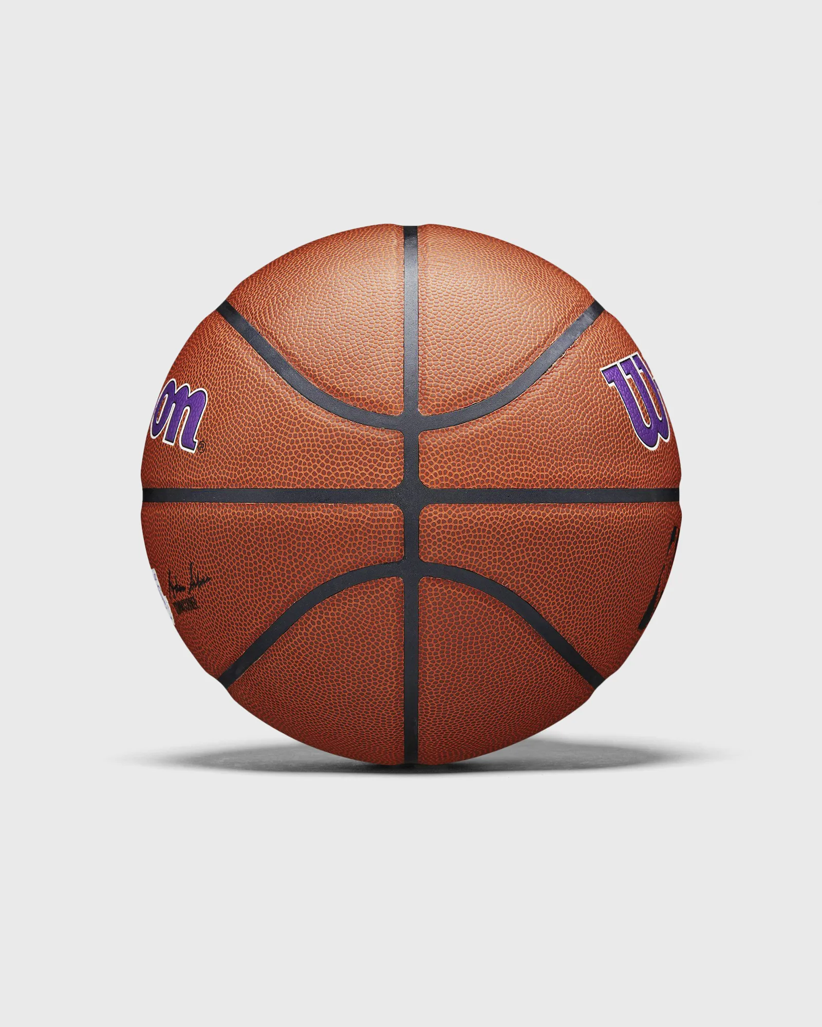 WILSON NBA TEAM ALLIANCE BASKETBALL LA LAKERS Size 7