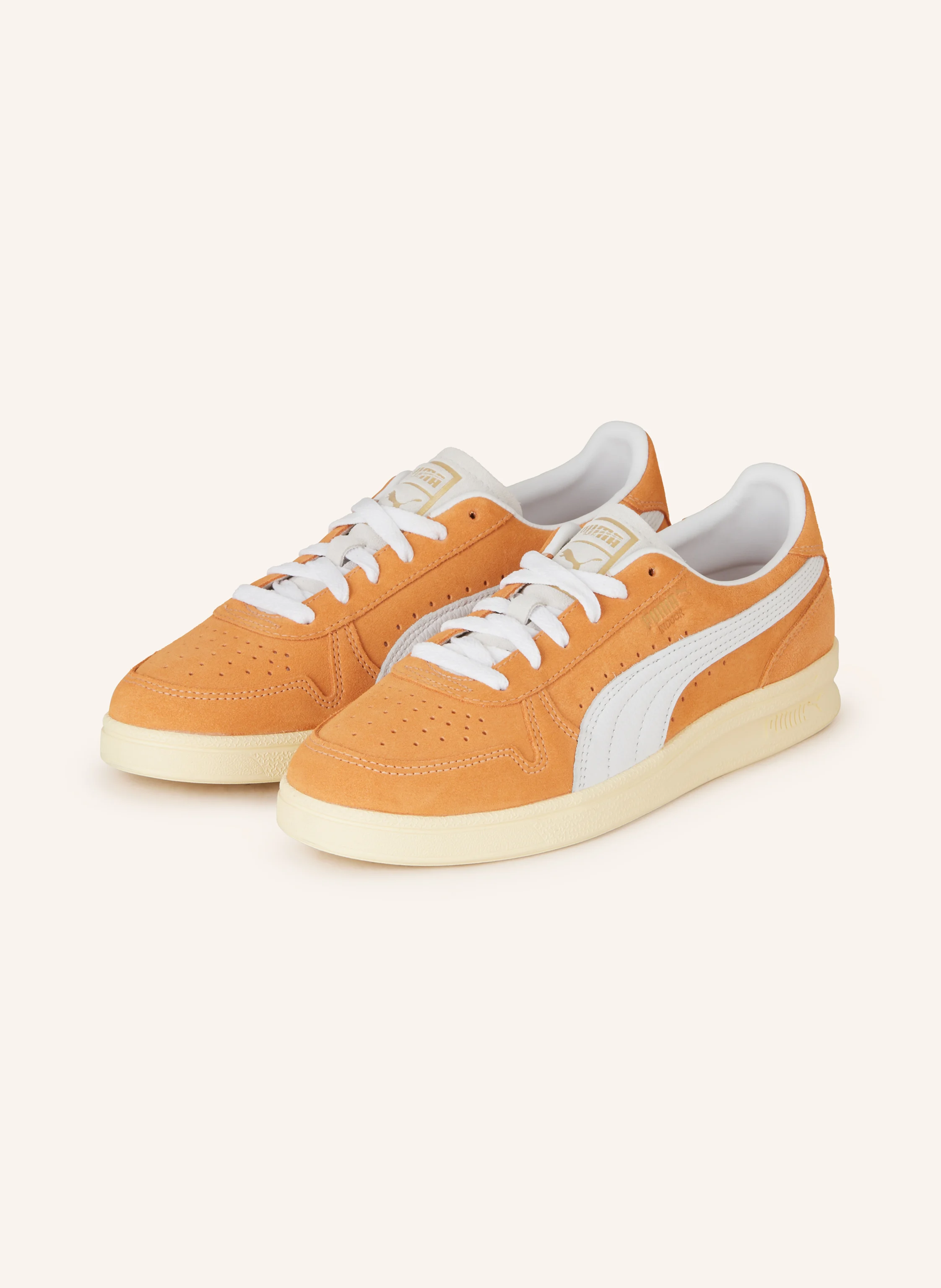 PUMA Sneaker INDOOR SOFT