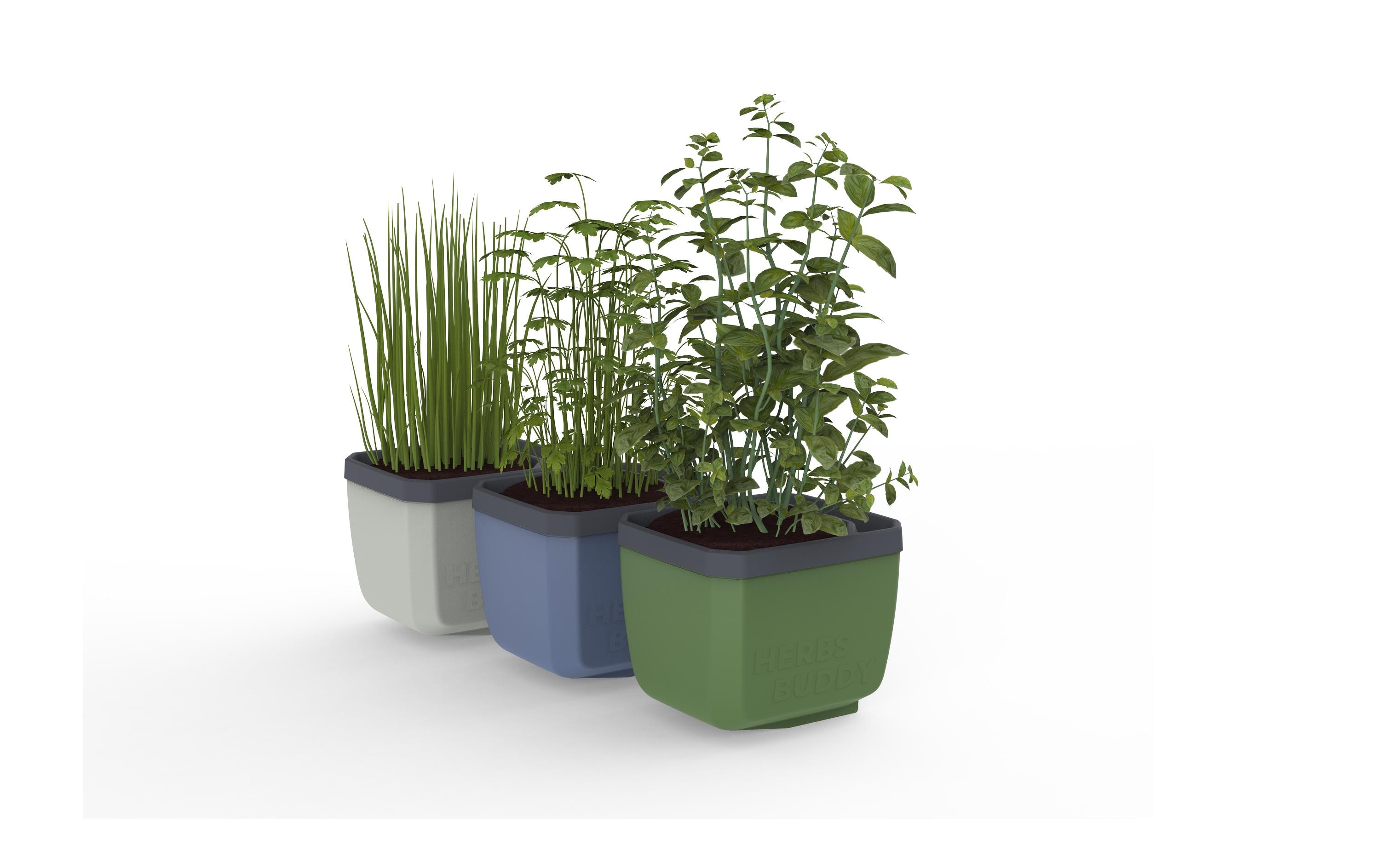 HERBS BUDDY Kräutertopf 3er Set WeissKräutertopf mit Wasserreservoir und Kippfunktion