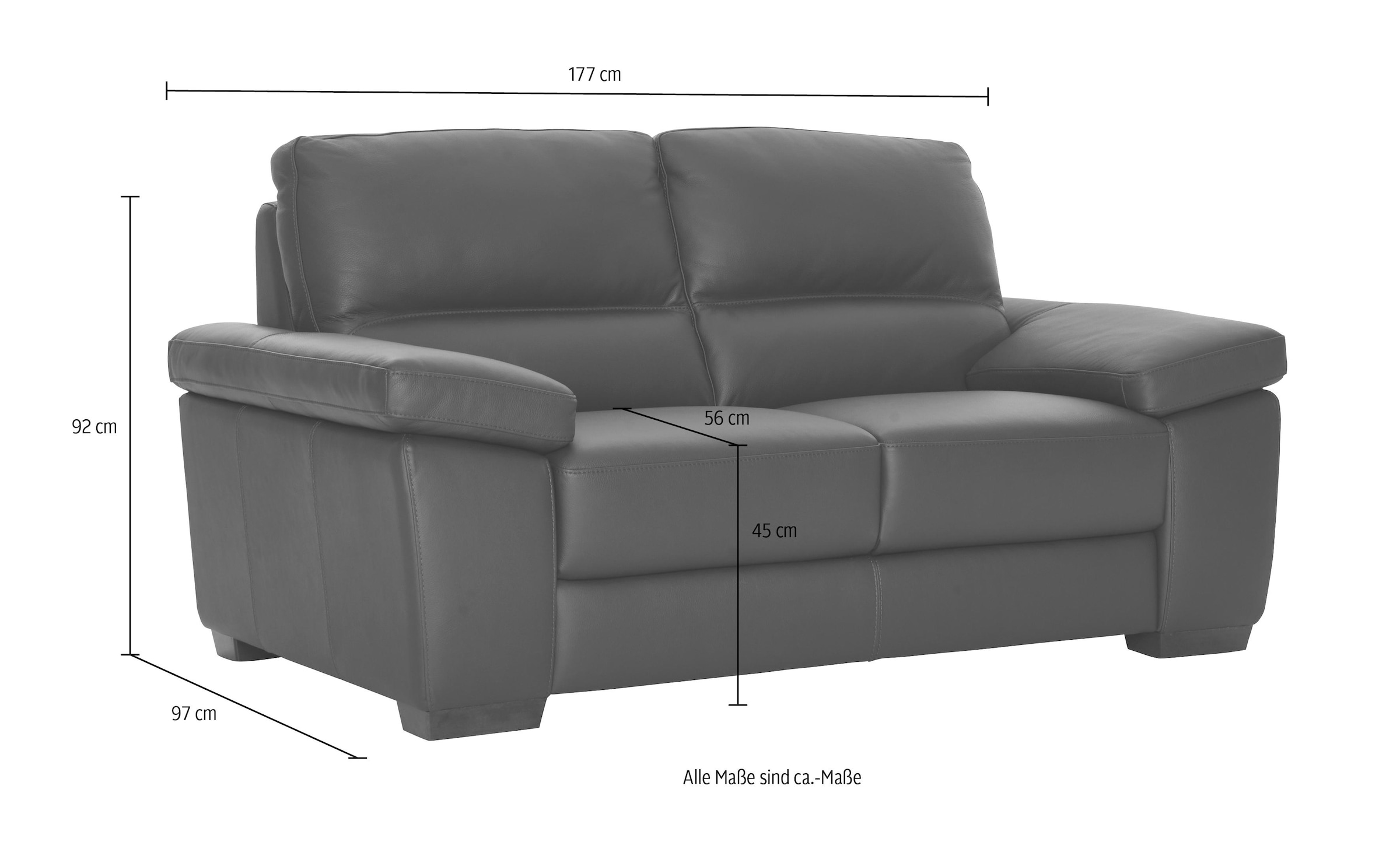 CALIA ITALIA 2-Sitzer »Gaia, hochwertiges Ledersofa mit erstklassigem Sitzkomfort« edles Design, in zwei hochwertigen Lederqualitäten