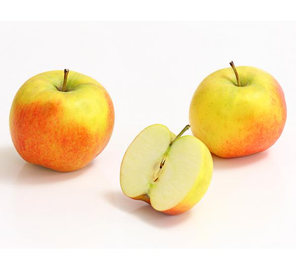 Säulenapfel 'Rondo'