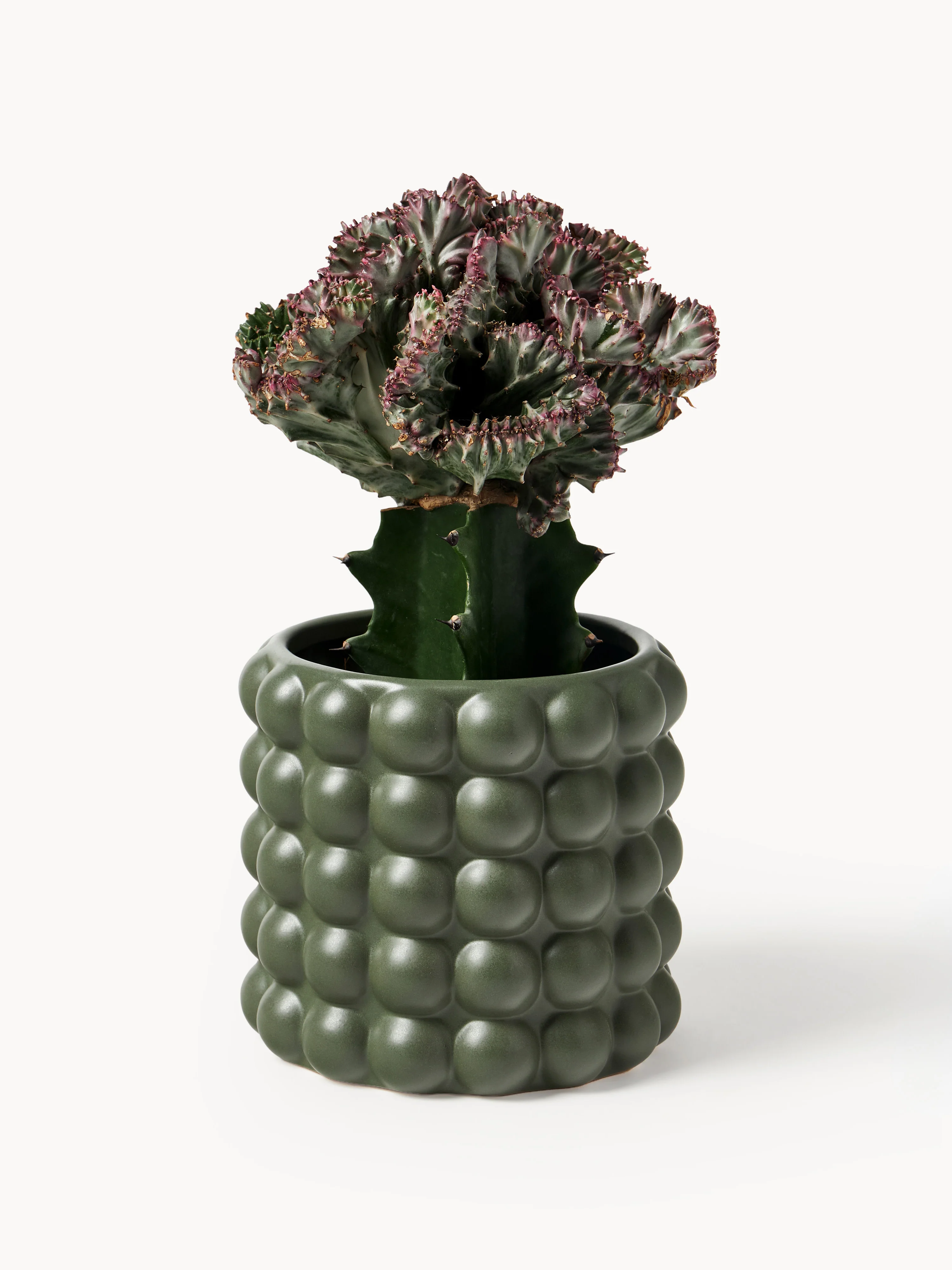 Plantenpot Bob van keramiek, H 15 cm
