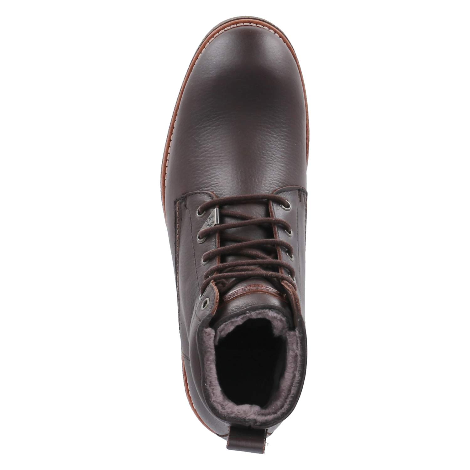 Panama Jack Winterboots GLASGOW IGLOO - marron / brown