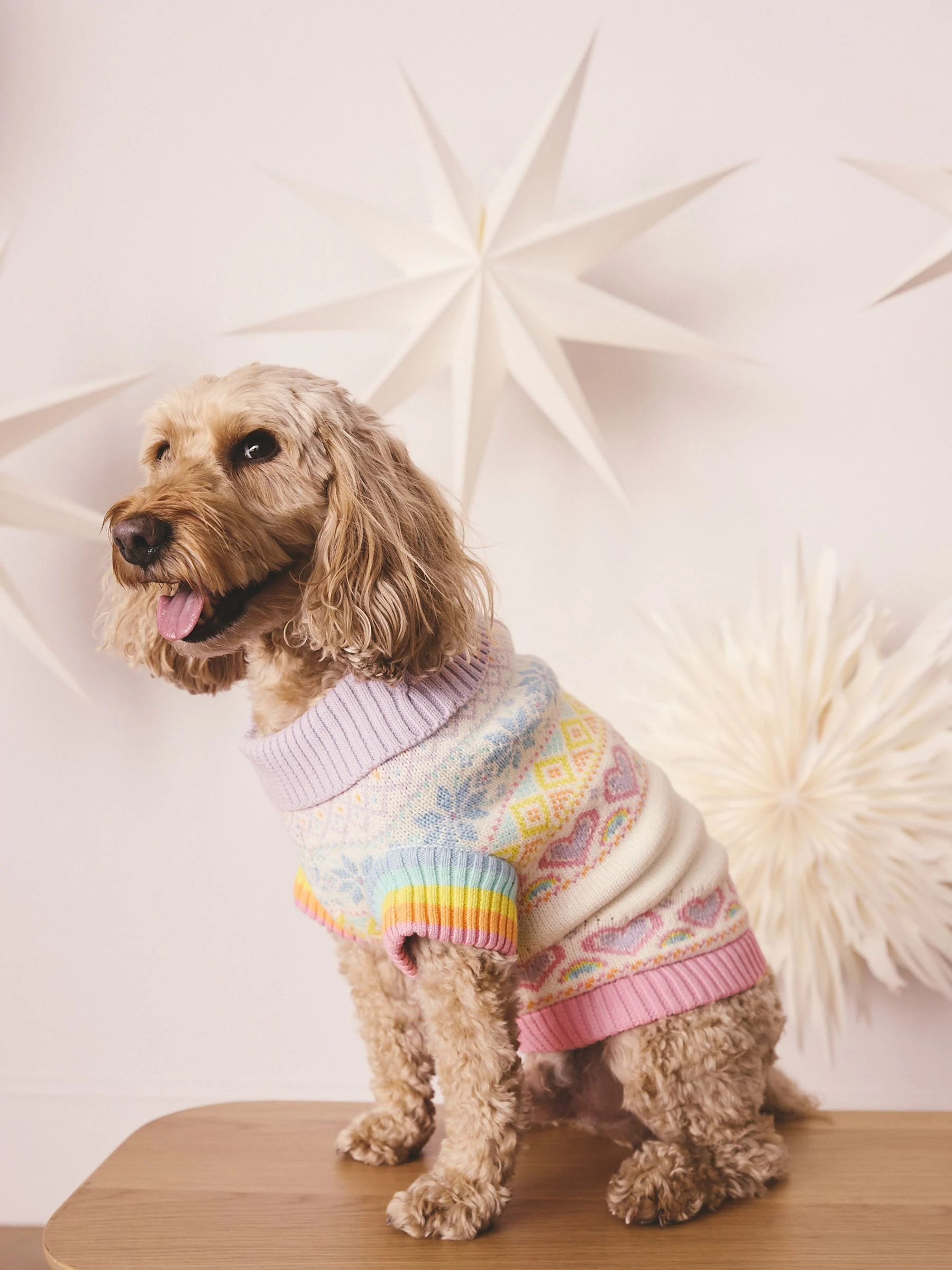 Pastelkleurige regenboogprint - Little Bird by Jools Oliver gebreide trui met dieren