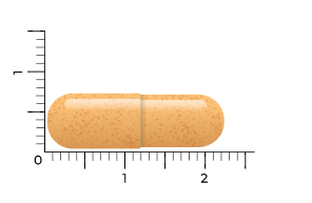 Vitakruid Curcuma C3-2X Capsules 120VCP