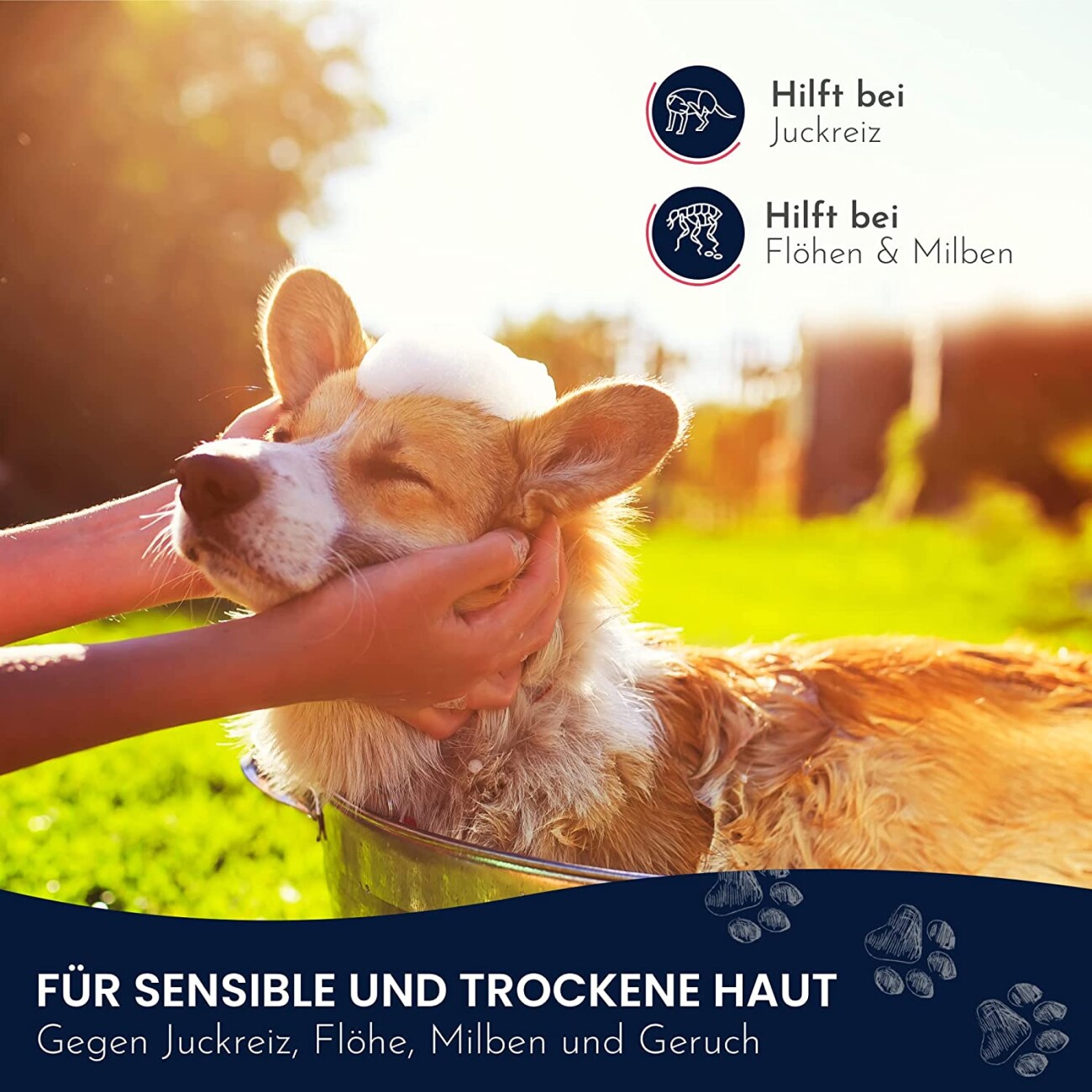 Pawlie's Sensitiv Hundeshampoo für Hunde 250ml