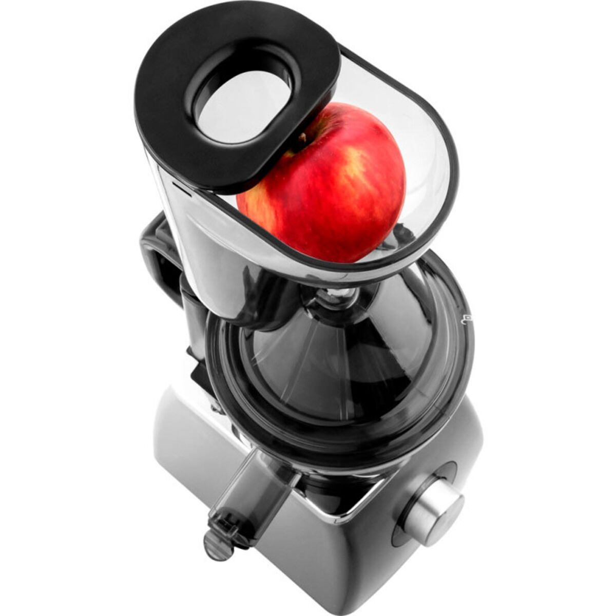 SSJ 4070SL Slow Juicer