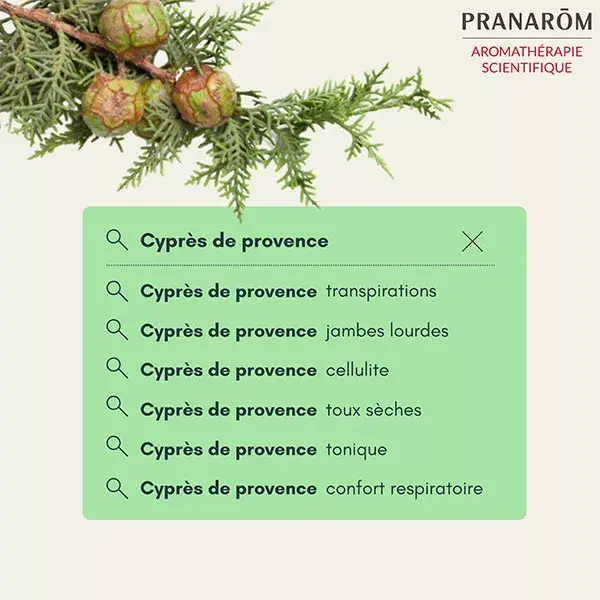 Óleo Essencial de Cipreste Pranarom da Provença 10ml