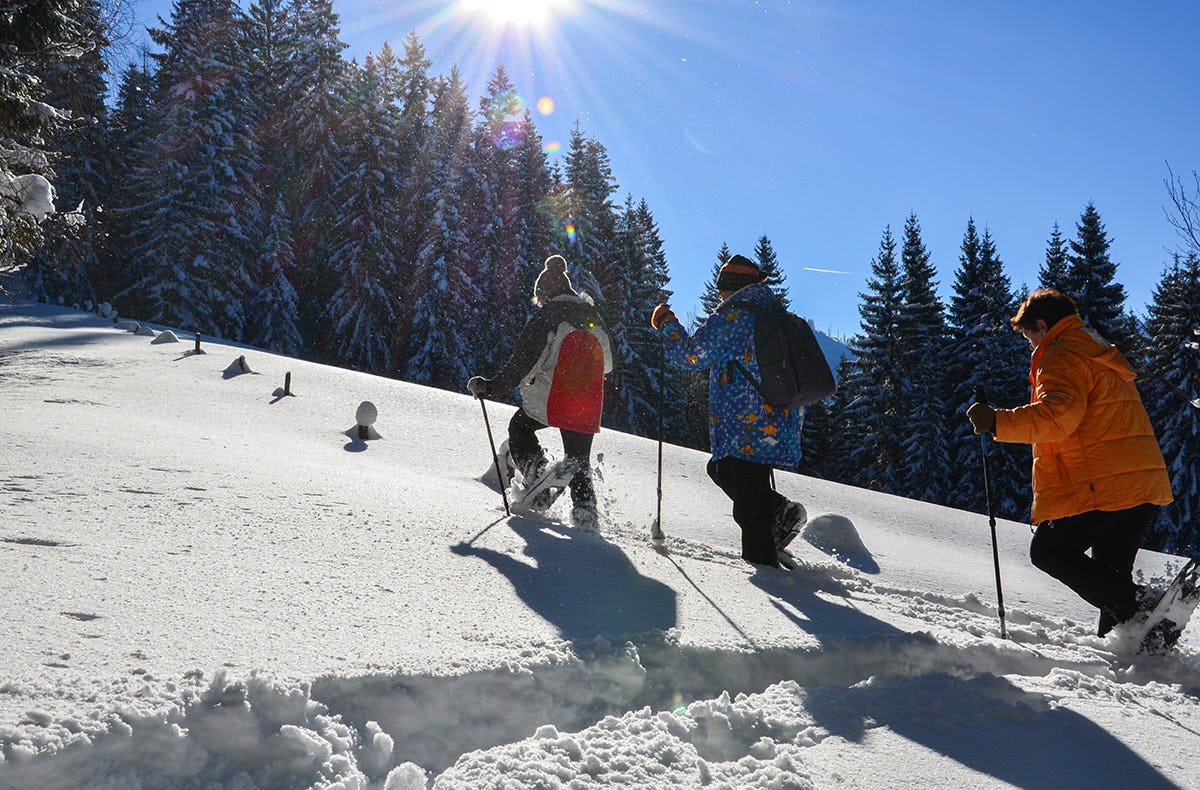 Schneeschuhwanderung Reichenau