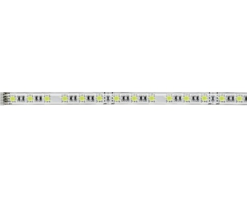 MaxLED 500 RGBW Strip 1 m 386 lm warm wit 60 LED's Uitbreiding op basisset 24V Smart Home compatibel na verlenging